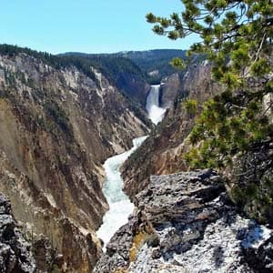 Yellowstone Winter Wonderland