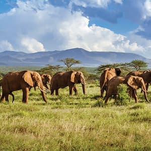 Independent Southern African Sojourn with Victoria Falls & Botswana